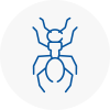 Ant Removals In Kilmarnock