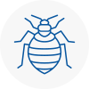 Bed Bug Extermination In Kilmarnock