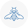 Bee Nest Removal Kilmarnock