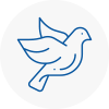 Bird Prevention Kilmarnock