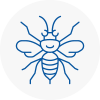 Kilmarnock Hornet Nest Removals