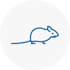Mice Exterminators In Kilmarnock