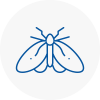 Moth Control Specialists In Kilmarnock