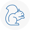 Kilmarnock Rodent Removals