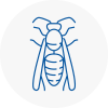 Kilmarnock Wasp Nest Removal